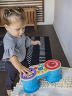 Baby Einstein jucarie muzicala Tobe Hape Magic Touch 6m+ 05