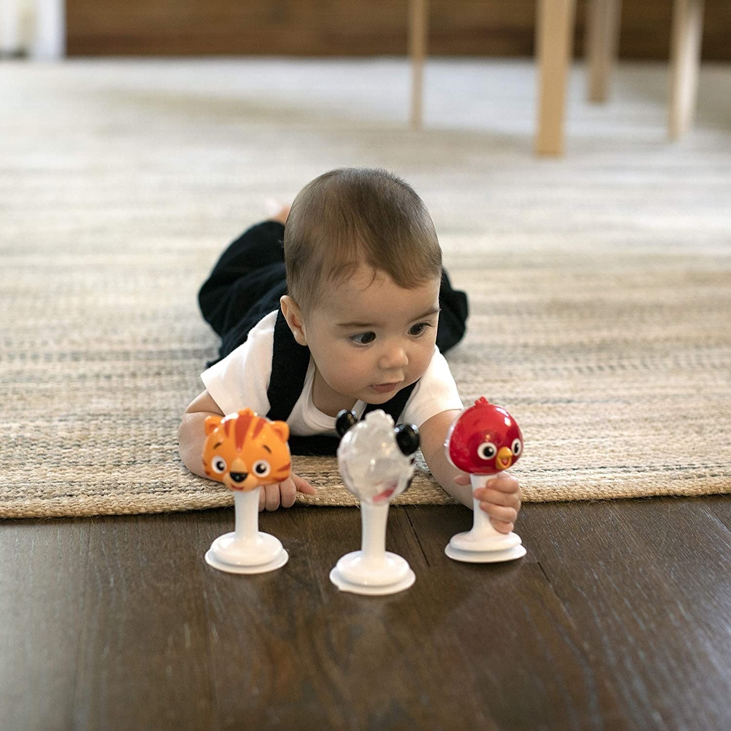Baby Einstein set 3 jucarii multisenzoriale animalute 06
