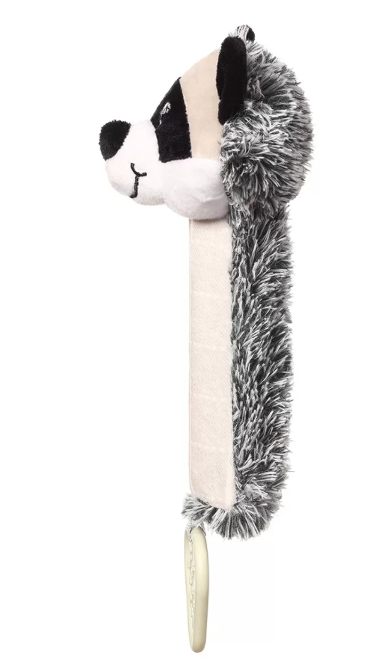  Racoon 03