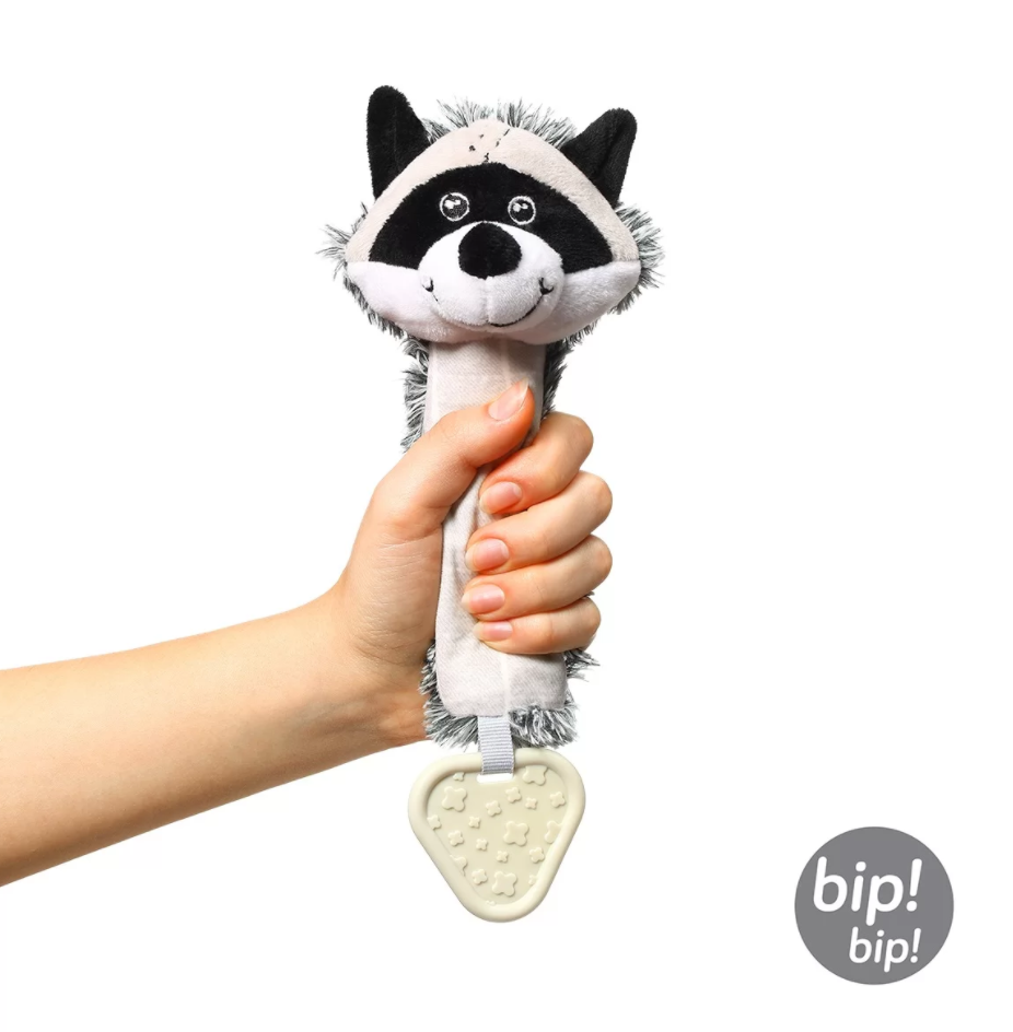  Racoon 02