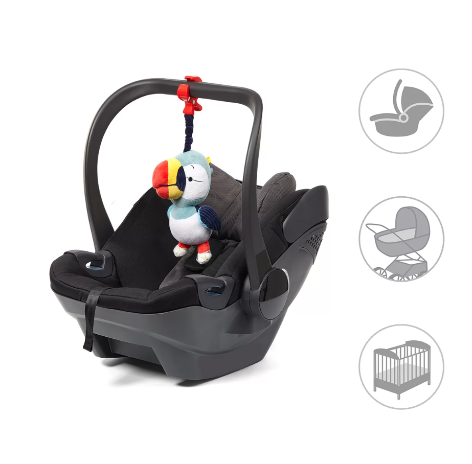  Toucan Titi 05