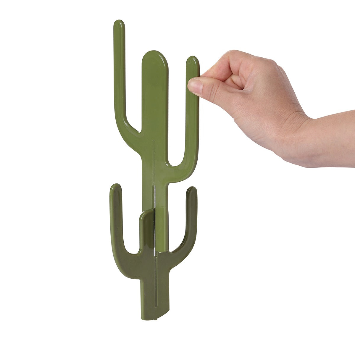  Cactus 1074 05