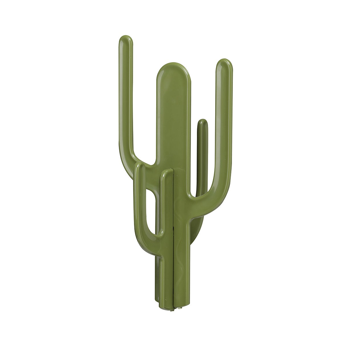  Cactus 1074 01