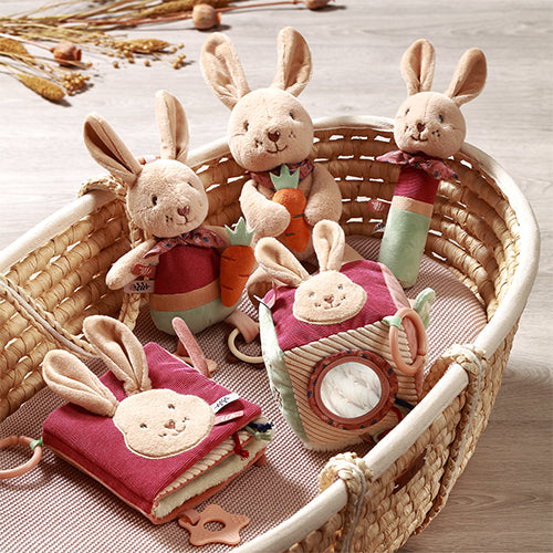 Baby Ono jucarie carticica moale cu activitati senzoriale 0m+ Rabbit Karo