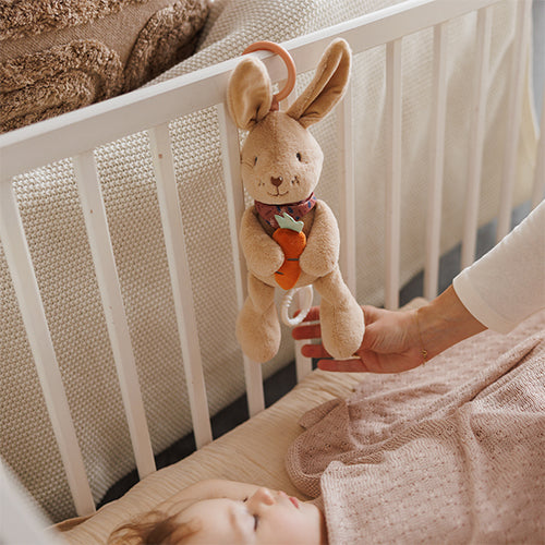 Baby Ono jucarie plus muzicala 0m+ Karolina Imagine secundară a produsului