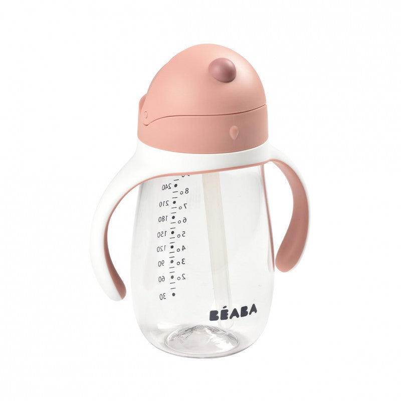 Beaba canita cu pai de 300 ml pentru 8m+