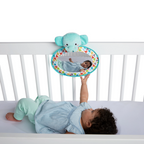 Bright Starts oglinda multifunctionala See and Play 0m+