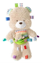 Bright Starts Jucarie de plus Ursuletul cu puiut Snuggles Bear 01