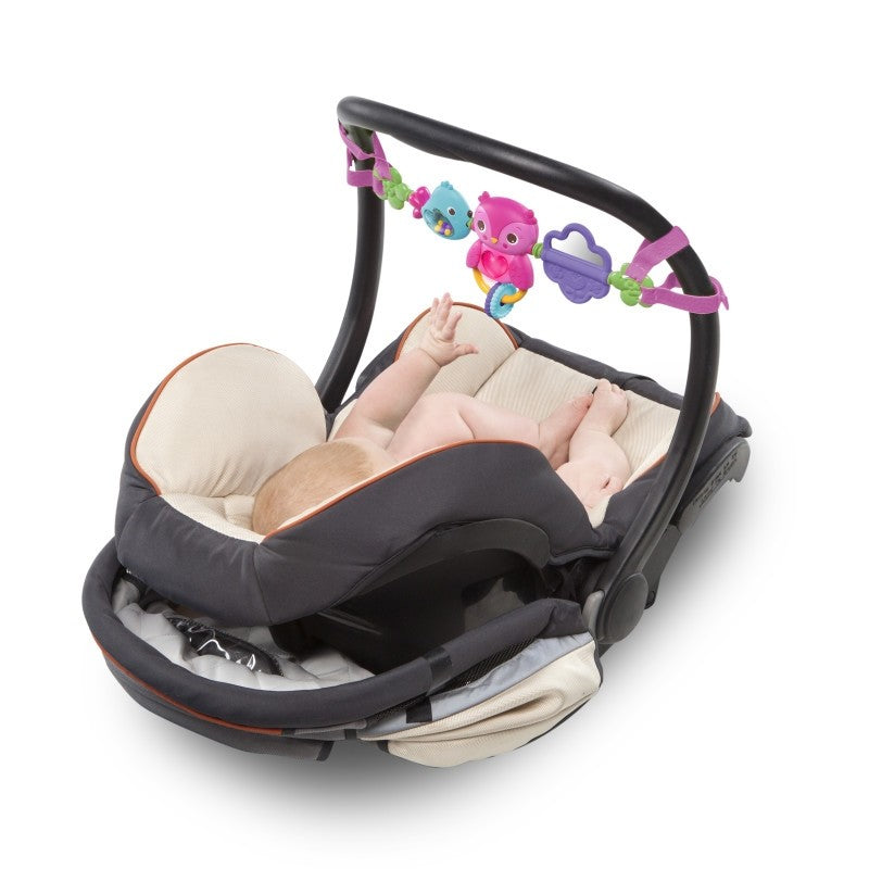 Bright Starts bara de jucarii pentru balansoar Take Along 0m+ 03