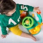 Bright Starts jucarie multifunctionala cu volan Lights&Colors 03