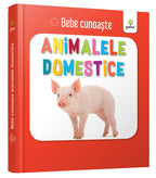Carturesti carte Bebe cunoaste 0m+ Animalele domestice