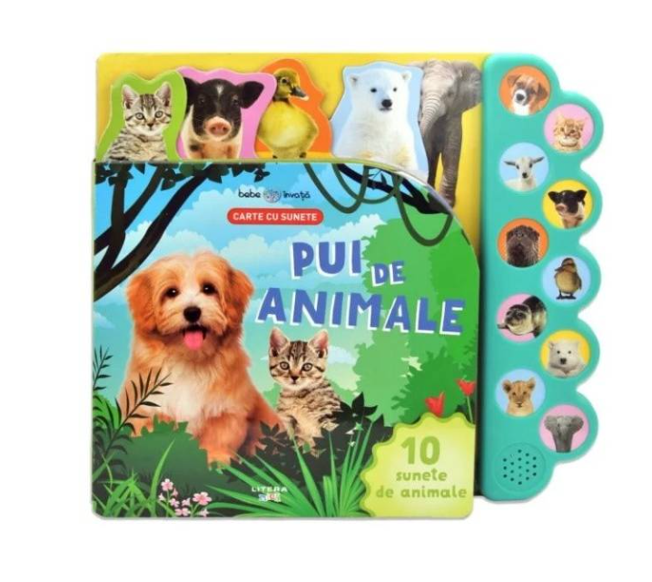 carturesti bebe invata carte cu sunete 0m dinozauri