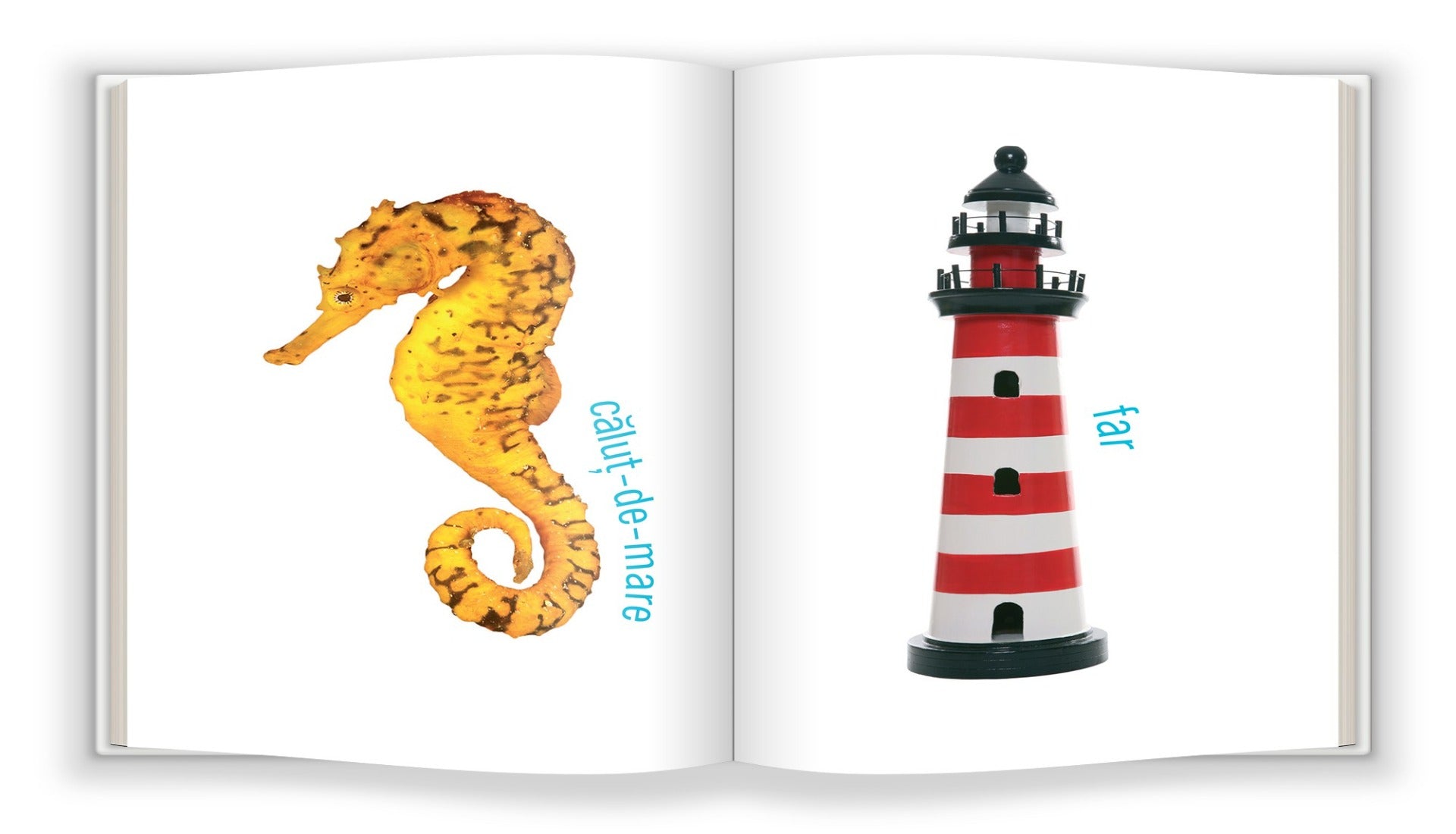 carturesti carte bebe cunoaste 0m marea