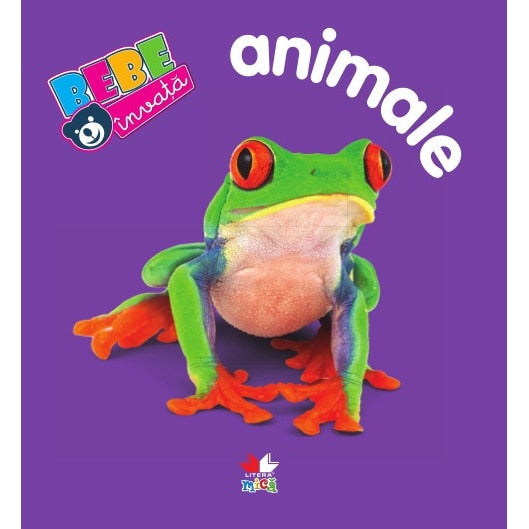 carturesti carte bebe invata 0m animale