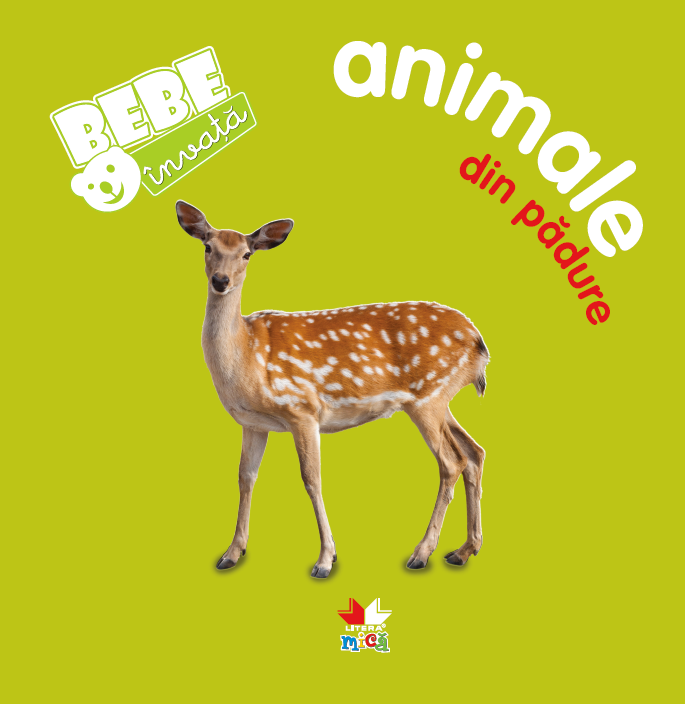 Carturesti carte Bebe invata 0m+ Animale din padure