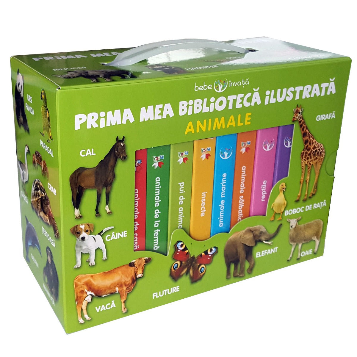 carturesti carte bebe invata 0m prima mea biblioteca ilustrata Imagine principală a produsului