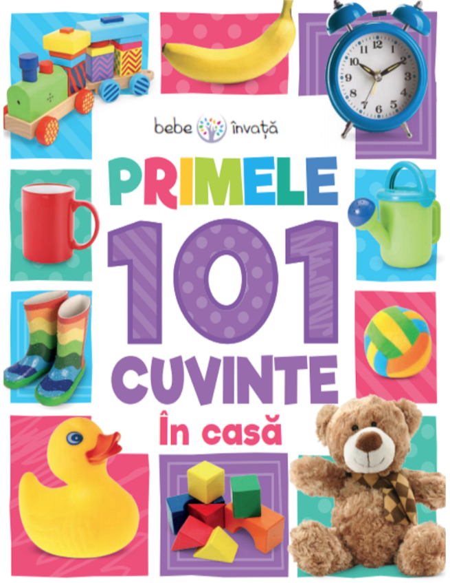 Carturesti carte Bebe invata 0m+ Primele 101 cuvinte, In casa