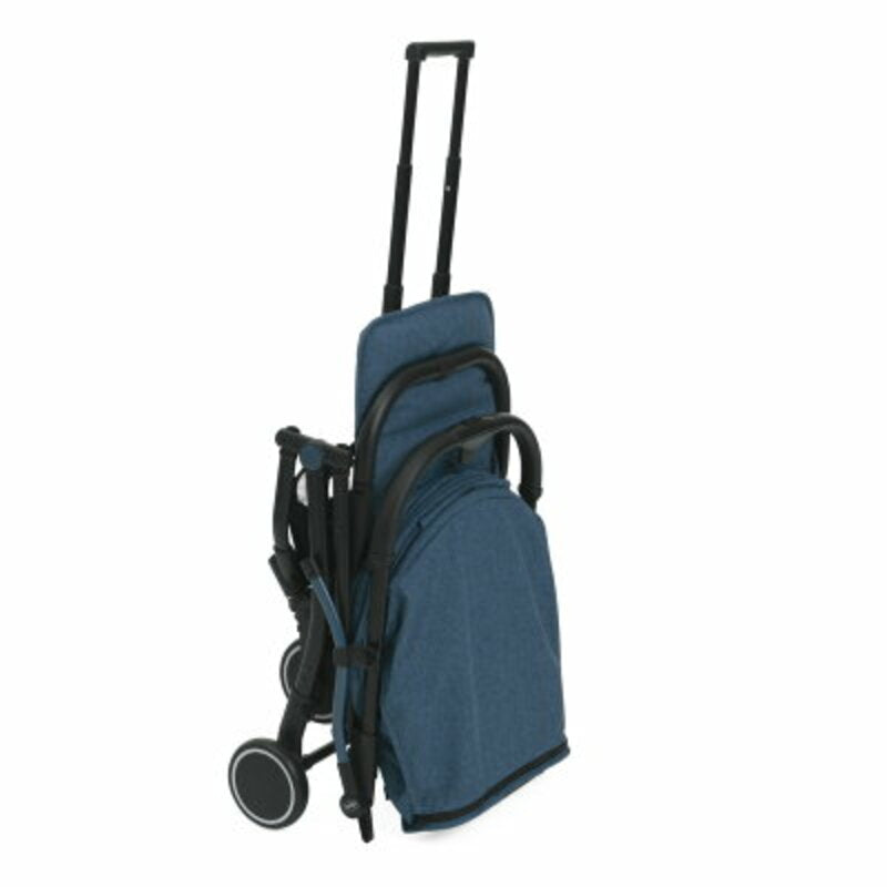  Calypso Blue