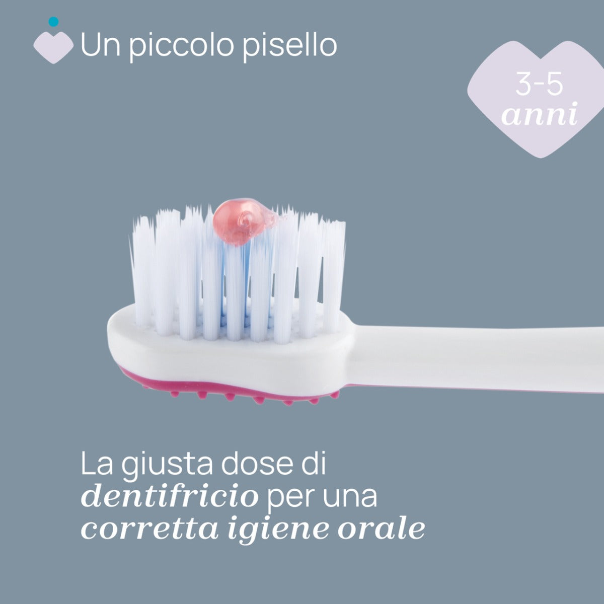 Chicco periuta de dinti 3-6 ani Hippo Roz