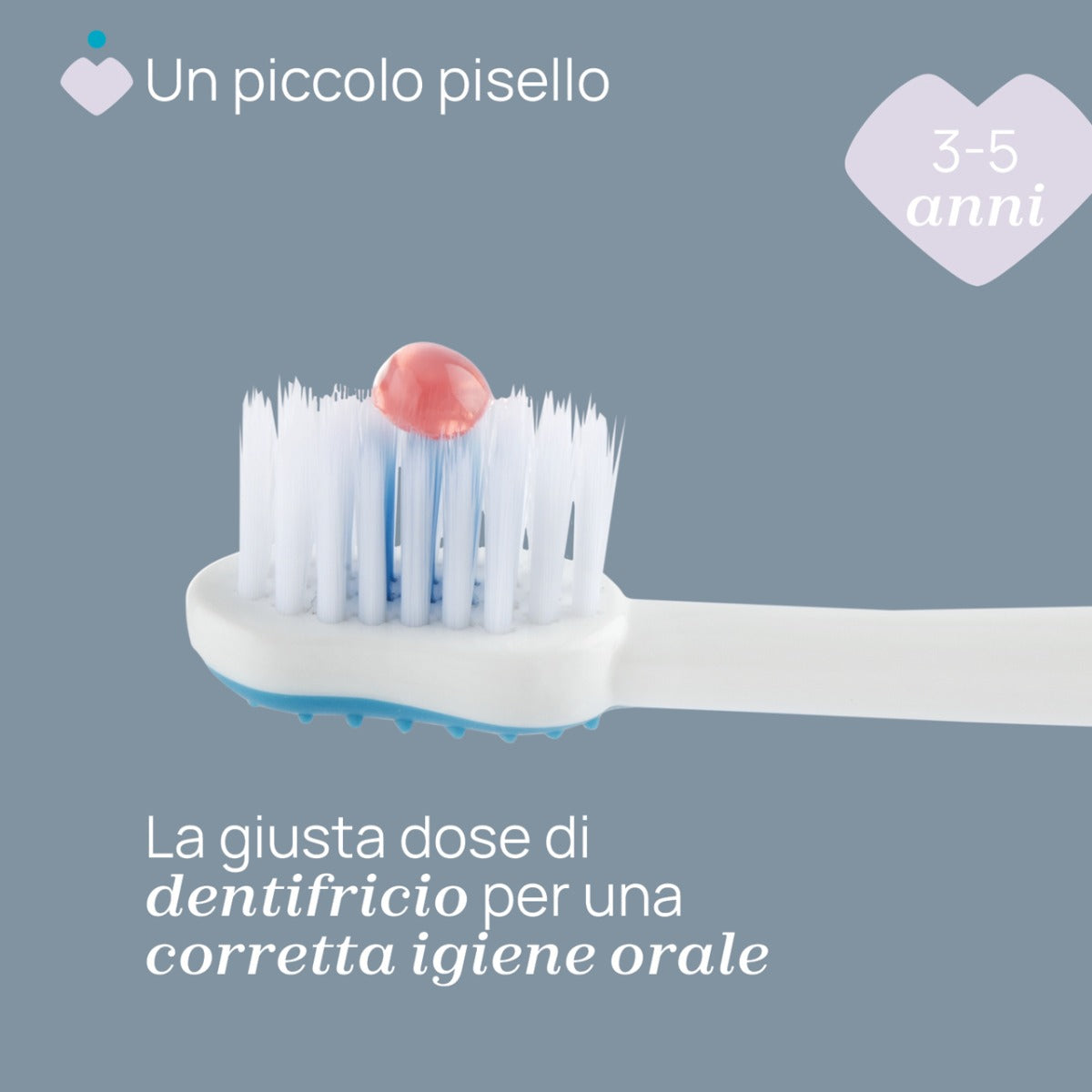 Chicco periuta de dinti 3-6 ani Tigger Blue