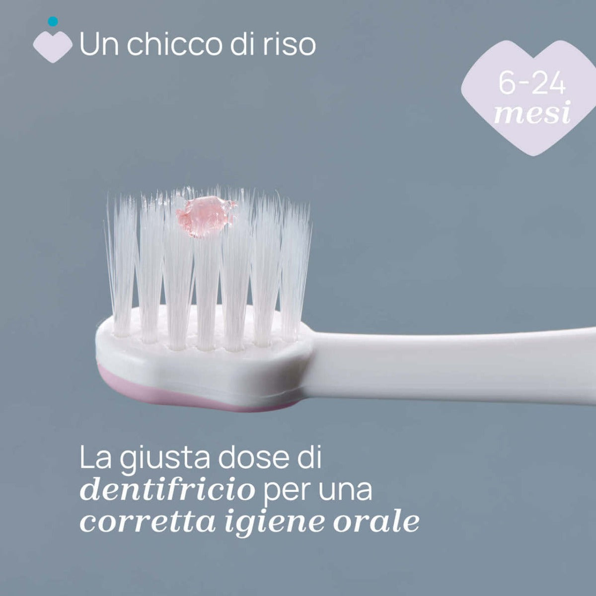 Chicco periuta de dinti 6-36 luni Lilac