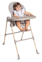 Chicco scaun masa Polly Essential 0m+ Ash
