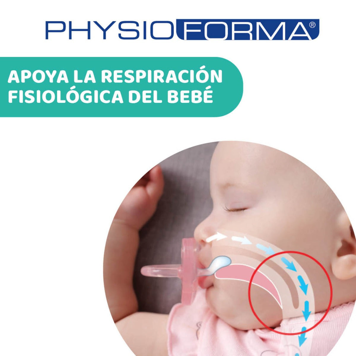 Chicco suzeta ortodontica Physio Forma Light 6-16 luni 2 buc Unisex