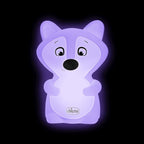  Birby 01