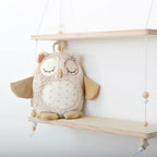 Cloud B jucarie plus muzicala 0m+ Nighty Night Owl