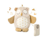 Cloud B jucarie plus muzicala 0m+ Nighty Night Owl