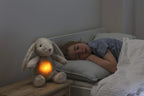 Cloud B jucarie plus muzicala cu lampa de veghe LoveLigh Buddies 0m+ Billy Bunny