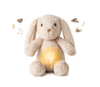 Cloud B jucarie plus muzicala cu lampa de veghe LoveLigh Buddies 0m+ Billy Bunny