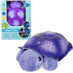 Purple 01