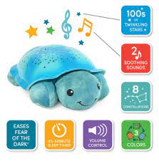  Turtle Albastru 02
