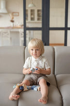 Cubika jucarie din lemn 3 ani+ Pestisori - Pastel