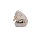 D.D.Step pantofi fete Barefoot 20-25 Cream simplu