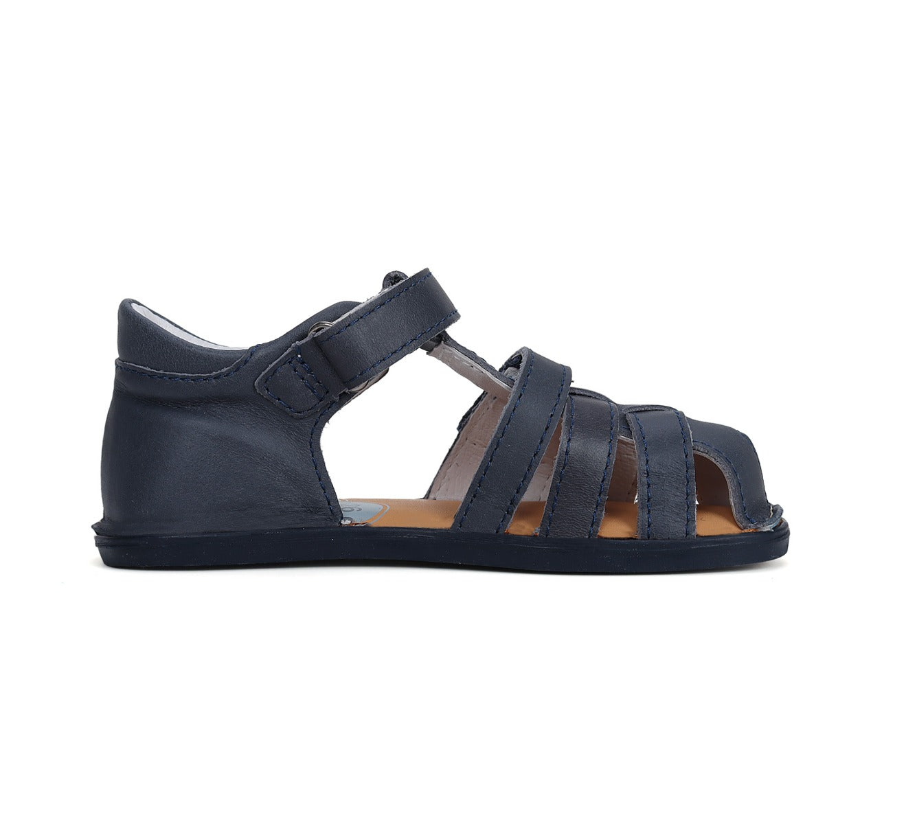  Royal Blue simlu