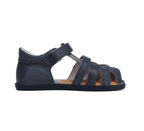  Royal Blue simplu