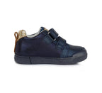  Royal Blue   01