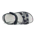  Royal Blue AC63-485AM 02