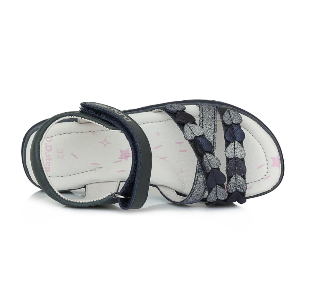  Royal Blue AC63-485AM 02