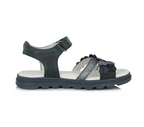  Royal Blue AC63-485AM 01