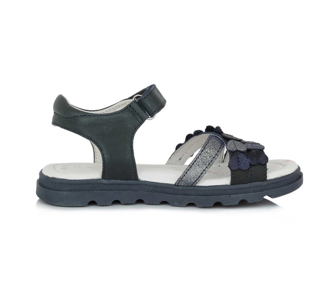  Royal Blue AC63-485AM 01