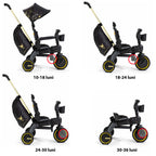 Doona tricicleta pentru copii Liki Trike 10m+