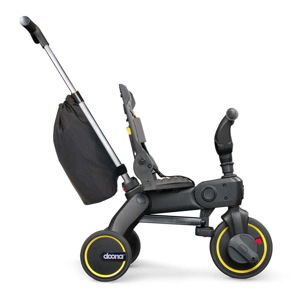  Grey Hund 02