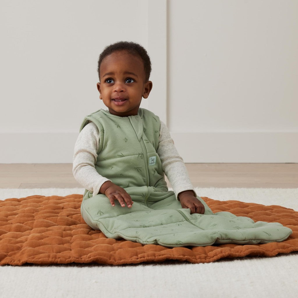 ErgoPouch sac de dormit din bumbac organic Jersey 2.5 tog 6-10 kg, 3-12 luni Willow