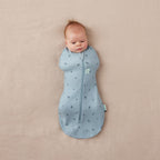 ErgoPouch sac de dormit si de infasat 2in1 Cocoon 3-6 kg 0-3 luni 1 Tog Dragonflies