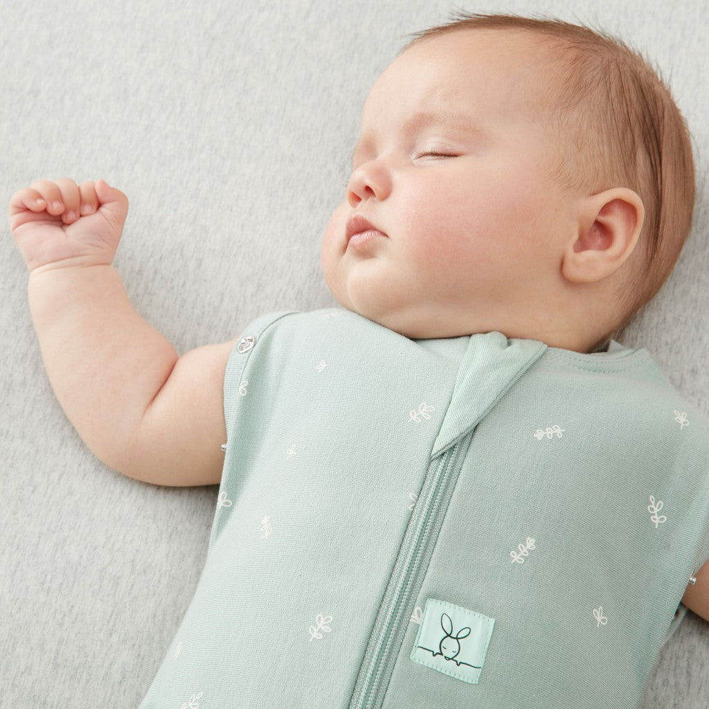 ErgoPouch sac de dormit si de infasat 2in1 Cocoon 3-6 kg 0-3 luni 1 Tog Sage