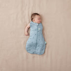 ErgoPouch sac de dormit si de infasat 2in1 Cocoon 3-6 kg 0-3 luni 2,5 Tog Dragonflies