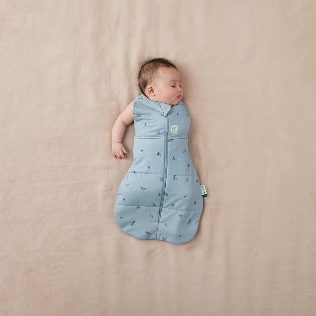 ErgoPouch sac de dormit si de infasat 2in1 Cocoon 3-6 kg 0-3 luni 2,5 Tog Dragonflies